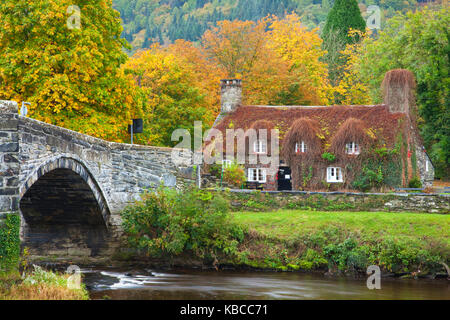 Trefriw Brücke (Pont Fawr), Clwyd, Snowdonia, North Wales, Vereinigtes Königreich, Europa Stockfoto