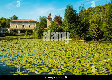 Lily Pads auf Le Dropt Fluss an dieser populären South Western historische Bastide, Eymet, Bergerac, Dordogne, Frankreich, Europa Stockfoto