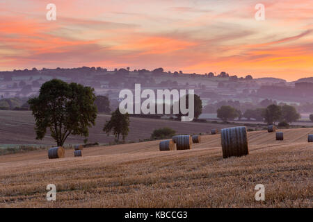 Runde Heuballen im stoppel Feld in der Morgendämmerung, Chipping Campden, Cotswolds, Gloucestershire, England, Vereinigtes Königreich, Europa Stockfoto