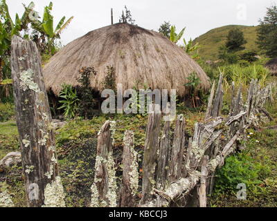Dani Stamm Hütte im Baliem Valley, Papua, Indonesien Stockfoto