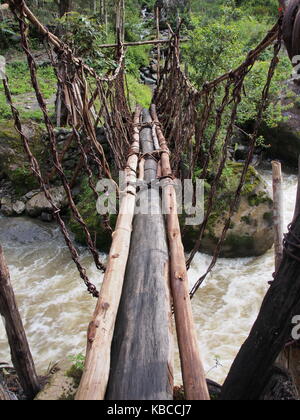 Holz- prähistorische Brücke im Baliem Valley, Papua, Indonesien Stockfoto