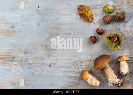 Dekorative Herbst rechten Rand mit Kastanien, Walnüsse, Haselnüsse, Eicheln, ceps, und verlässt auf grau Holzbrett Stockfoto