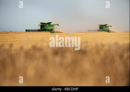 John Deere Mähdrescher Ernten von Weizen auf einem Bauernhof in Breckenridge, North Dakota Stockfoto