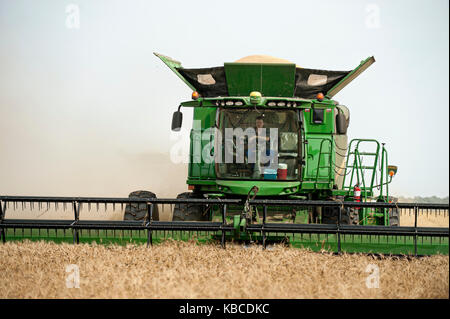 John Deere Mähdrescher Ernten von Weizen auf einem Bauernhof in Breckenridge, North Dakota Stockfoto