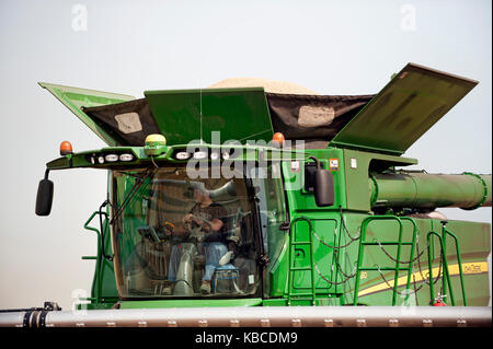 John Deere Mähdrescher Ernten von Weizen auf einem Bauernhof in Breckenridge, North Dakota Stockfoto