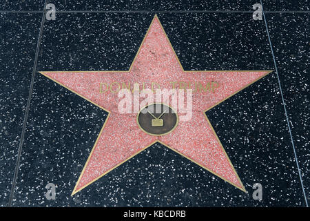 DonaldTrump's Stern auf dem Walk of Fame auf dem Hollywood Boulevard in Hollywood, Los Angeles, United States. Stockfoto