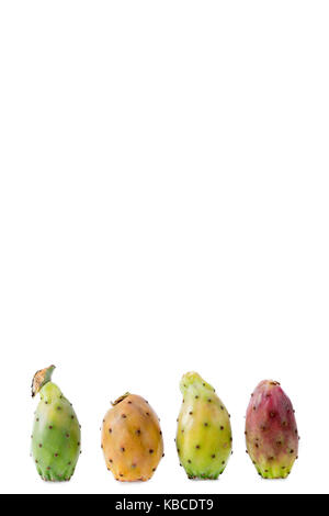 Cactus Früchte Feigenkaktus, auf weißem Hintergrund Stockfoto
