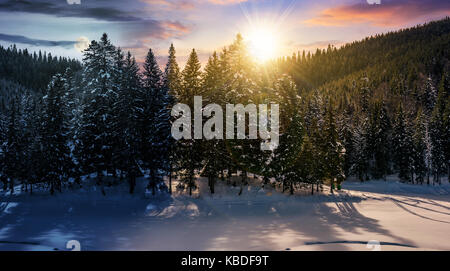 Tag und Nacht Zeit ändern Konzept im Winter Fichtenwald. schöne Landschaft des magischen Landschaft Stockfoto