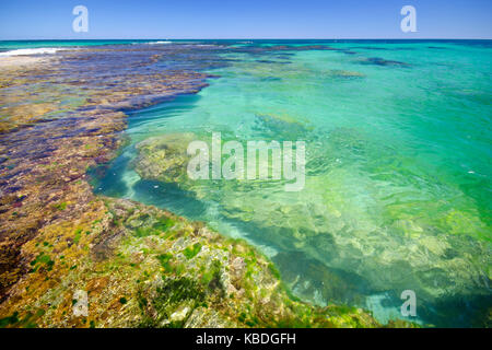 Das klare und geschützte Wasser von Penguin Island ist ideal zum Schwimmen, Bootfahren, Angeln und Schnorcheln. Shoalwater Islands Marine Park Stockfoto