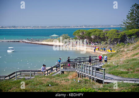 Boardwalk und Touristen auf Penguin Island, die Heimat einer Kolonie von rund 1200 kleine Pinguine und über 50 andere Arten von Seevögeln. Die Reihe der boardwa Stockfoto