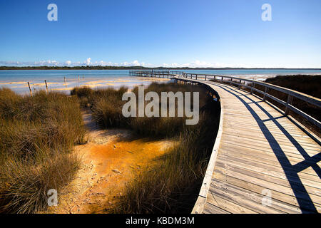 Boardwalk für die Anzeige der thrombolites am Lake Clifton, ohne sie zu beschädigen. Thrombolites sind ein lebendes Relikt aus den Anfängen des Lebens, wenn die Stockfoto