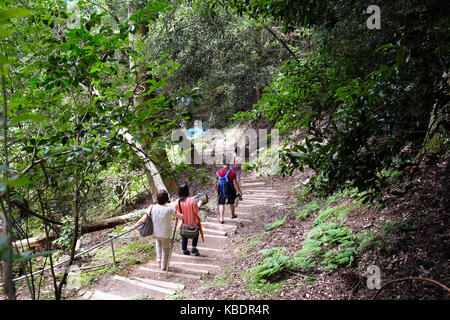 Der Weg zwischen Kibune und Kurama nördlich der Stadt Kyoto in Japan. Stockfoto