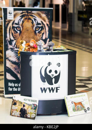 Der WWF bedrohte in Preston, Lancashire, Großbritannien, mit unerträglichen Plakaten und Publikationen für gefährdete Tiere. Der World Wide Charity Fund, Poster & Publications, for Nature ist eine internationale Nichtregierungsorganisation, die 1961 gegründet wurde und im Bereich der Erhaltung der Wildnis und der Reduzierung des Fußabdrucks der Menschheit auf die Umwelt tätig ist Stockfoto