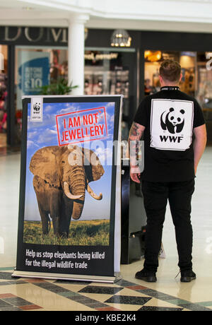 WWF-Kampagne bedrohte gefährdete gefährdete gefährdete Tierorganisationen Poster und Publikationen in Preston, Lancashire, Großbritannien. Der World Wide Fund for Nature ist eine 1961 gegründete internationale Nichtregierungsorganisation, die im Bereich der Erhaltung der Wildnis und der Verringerung des Fußabdrucks der Menschheit auf der Umwelt tätig ist. Stockfoto