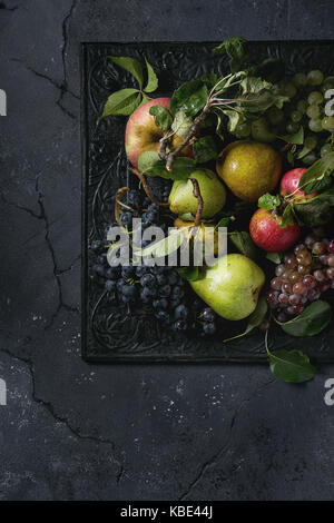 Vielzahl von Herbst Früchte reif organische Äpfel, drei Arten von Trauben, Birnen mit Blättern auf Metall verzierten Fach über dunkle Textur Hintergrund. Ansicht von oben mit der Stockfoto