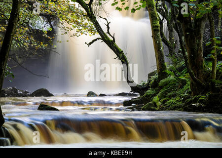 Summerhill Kraft und Bowlee Beck, Bowlees, Obere, Teesdale, County Durham, UK Stockfoto