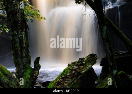 Summerhill Kraft und Bowlee Beck, Bowlees, Obere, Teesdale, County Durham, UK Stockfoto