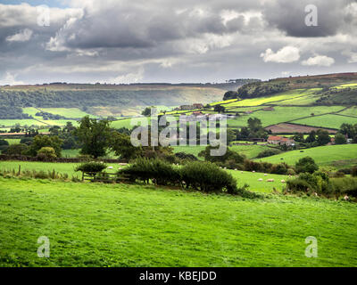 Die Esk Valley im Sommer in der Nähe von Danby North York Moors Yorkshire England Stockfoto