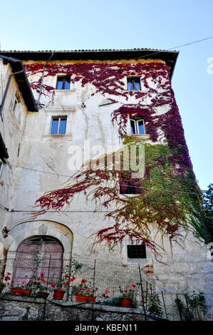 Ein Haus mit farbigen Efeu an der Fassade Stockfoto