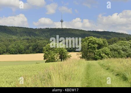 So bewachsen mit Gras zwischen den Feldern mit der grünen bewaldeten Höhenzug Deister hinter, 22. Juni 2017 | Verwendung weltweit Stockfoto