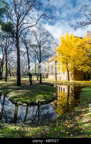 Herbst Blick auf Hokkaido Universität. Die Universität ist ein Tourismus Hotspot im Herbst Jahreszeit, wie es mit den goldenen Ginkgo Baum befüllt wird. Stockfoto