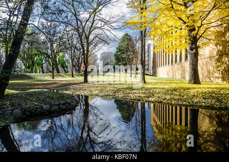 Herbst Blick auf Hokkaido Universität. Die Universität ist ein Tourismus Hotspot im Herbst Jahreszeit, wie es mit den goldenen Ginkgo Baum befüllt wird. Stockfoto