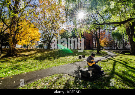 Herbst Blick auf Hokkaido Universität. Die Universität ist ein Tourismus Hotspot im Herbst Jahreszeit, wie es mit den goldenen Ginkgo Baum befüllt wird. Stockfoto