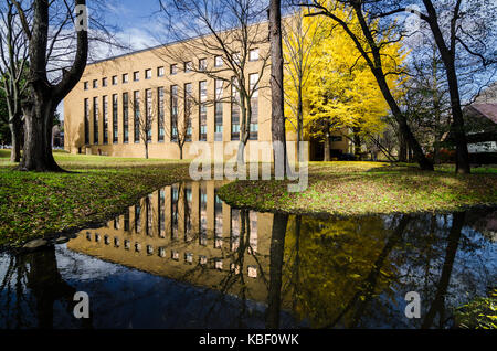 Herbst Blick auf Hokkaido Universität. Die Universität ist ein Tourismus Hotspot im Herbst Jahreszeit, wie es mit den goldenen Ginkgo Baum befüllt wird. Stockfoto