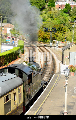 Dampfzug verlassen Kingswear am Dartmouth Steam Railway, von GWR 2-8-0T Nr. 4277 Hercules geschleppt. Stockfoto