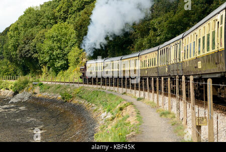 Dampfzug verlassen Kingswear am Dartmouth Steam Railway, von London Transport 5700 Klasse 0-6-0 pannier Tank Nr. L 94 geschleppt (GWR Nr. 7752). Stockfoto