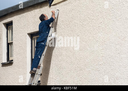 Mann auf Leiter Malerei Außenwand eines Hauses außerhalb Stockfoto