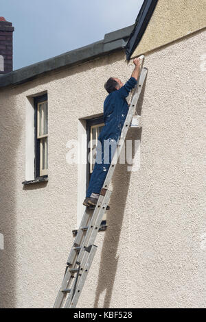 Mann auf Leiter Malerei Außenwand eines Hauses außerhalb Stockfoto