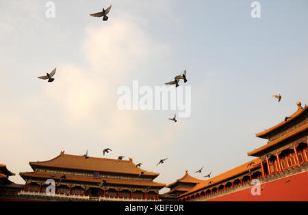 Peking, Peking, China. 30 Sep, 2017. Peking, China, 30. September 2017: (redaktionelle Verwendung. CHINA). Der Meridian Tor der Verbotenen Stadt für die kommenden nationalen Tag in Peking erneuert wird. Credit: SIPA Asien/ZUMA Draht/Alamy leben Nachrichten Stockfoto