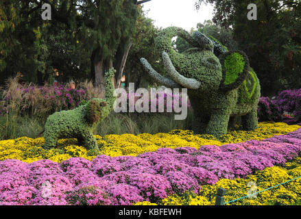 Peking, Peking, China. 30 Sep, 2017. Peking, China, 30. September 2017: (redaktionelle Verwendung. CHINA). Der Zhongshan Park mit schönen Parterres für die kommenden nationalen Tag in Peking eingerichtet ist. Credit: SIPA Asien/ZUMA Draht/Alamy leben Nachrichten Stockfoto