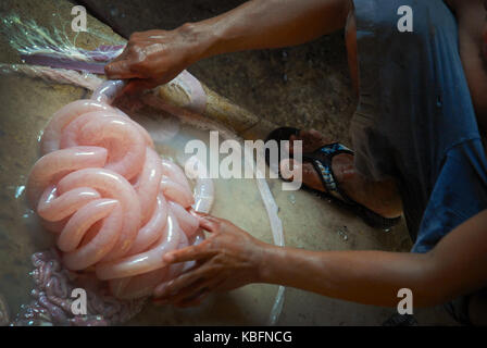 Man aufpumpen Schweine Därme, Angeles, Central Luzon, Philippinen. Stockfoto