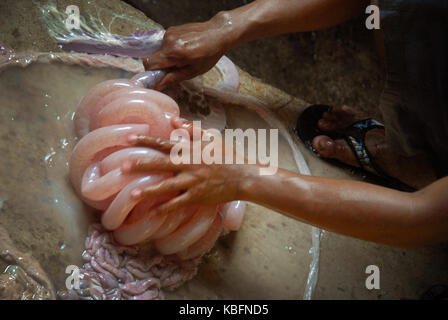 Man aufpumpen Schweine Därme, Angeles, Central Luzon, Philippinen. Stockfoto