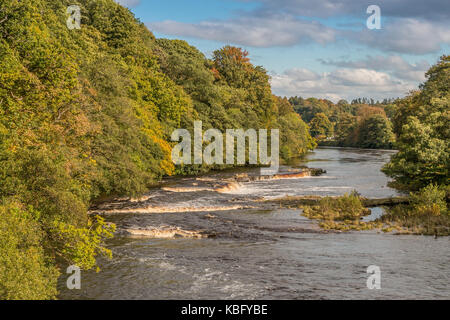 Teesdale Landschaft, Stromschnellen und Wasserfälle auf dem Fluss Tees in Whorlton, Teesdale, UK an einem sonnigen Herbstnachmittag September 2017 Stockfoto