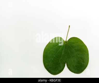 Heilige blatt Hindu devotional Festival Stockfoto