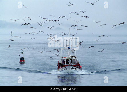 Kanal Inseln. Guernsey. Fischerboot Rückkehr zum Hafen. Stockfoto