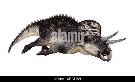 3D-Rendering eines Dinosauriers, die Zuniceratops auf weißem Hintergrund isoliert Stockfoto
