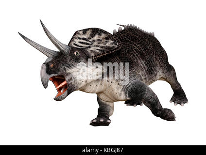 3D-Rendering eines Dinosauriers, die Zuniceratops auf weißem Hintergrund isoliert Stockfoto