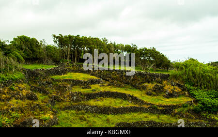 Azoren Inseln gehören zu Portugal, von innen ein Krater, die Claps begonnen, mit einer Canon D700 und Canon 18-55 Objektiv fotografiert. Von David sokulin. Stockfoto