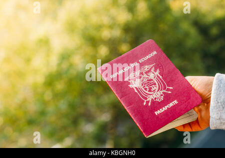 Jemand mit einem Reisepass der Republik Ecuador, isoliert. Ecuador ist in Südamerika Stockfoto