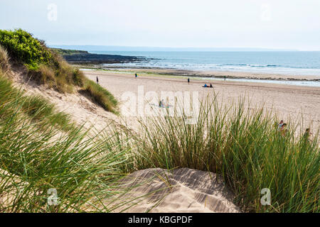 Der Sandstrand von Croyde in Devon während der Sommerferien. Stockfoto