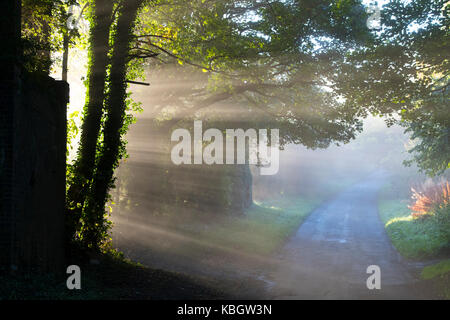 Am frühen Morgen Sonnenstrahlen durch Nebel über eine Landstraße in den Cotswolds. Chipping Norton, Oxfordshire, England Stockfoto