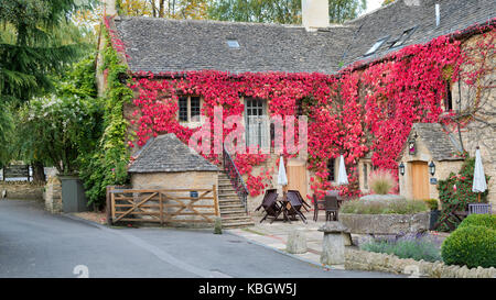 Parthenocissus Tricuspidata. Boston Ivy/Japanische Kriechgang an den Wänden der Schlachtungen Country Inn. Lower Slaughter. Cotswolds, Großbritannien Stockfoto