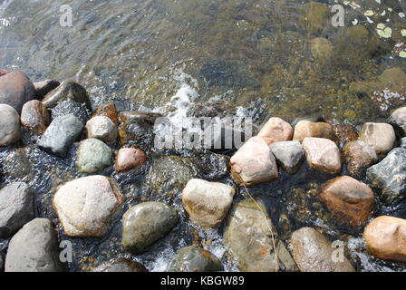 Natur im Garten Wegerzyn Stockfoto