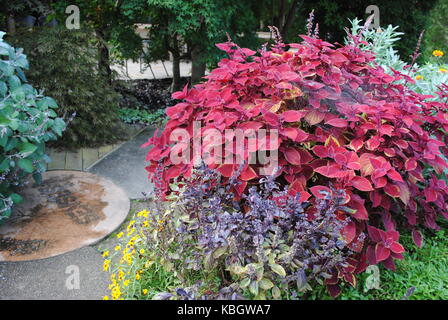 Natur im Garten Wegerzyn Stockfoto