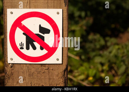 Warnschild für alte Hunde auf Holzpfosten mit grünem Hintergrund ohne Fokus Stockfoto