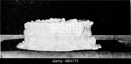 "Lebensmittel, deren Zusammensetzung und Herstellung; ein Lehrbuch für Klassen im Haushalt der Wissenschaft" (1918) Stockfoto